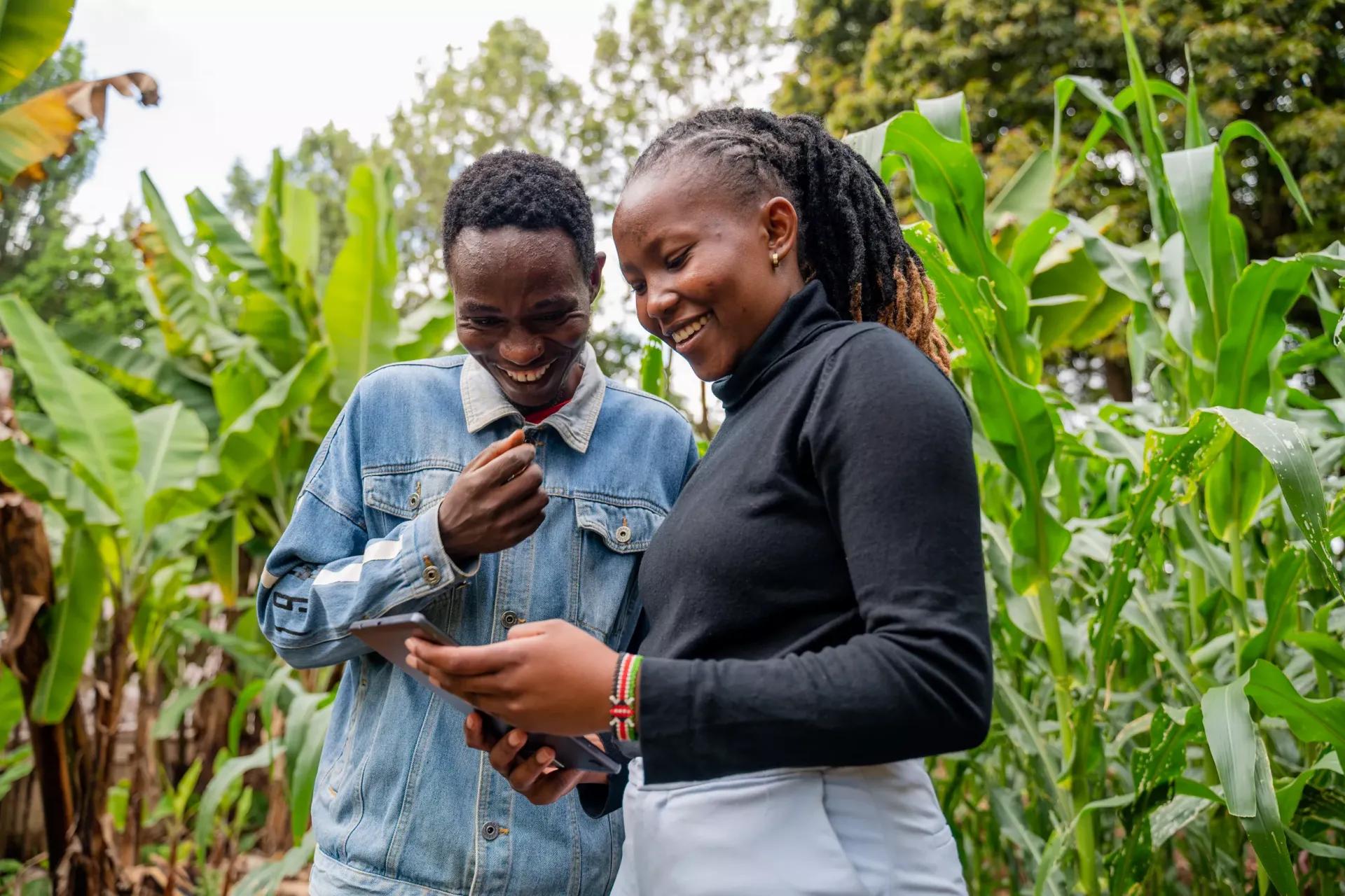 Nigeria’s Leading Digital Agriculture Marketplace Transforming Food Security and Farm Commerce